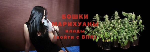 индика Аркадак