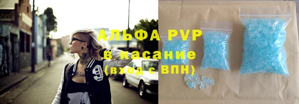 индика Аркадак