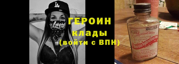 индика Богданович