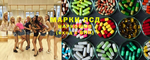 индика Аркадак