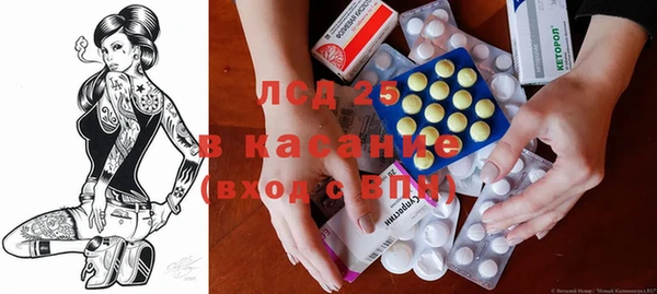 индика Богданович