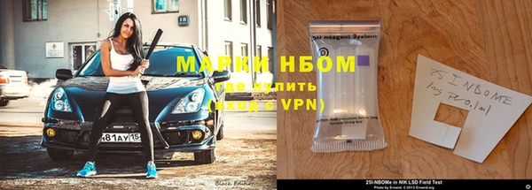 индика Аркадак