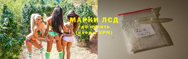 индика Аркадак